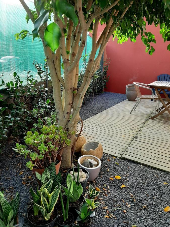 Casa Das Yucas - Patio Apartment カペラス エクステリア 写真