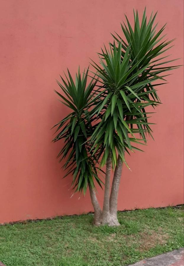 Casa Das Yucas - Patio Apartment カペラス エクステリア 写真