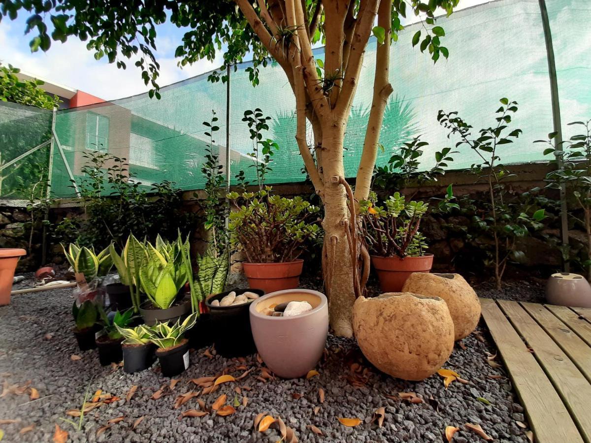 Casa Das Yucas - Patio Apartment カペラス エクステリア 写真